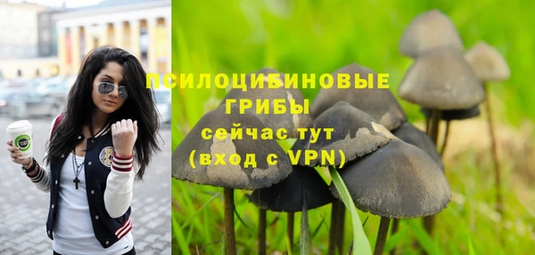 MESCALINE Покачи