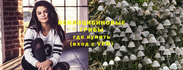ГАЛЛЮЦИНОГЕННЫЕ ГРИБЫ Покровск